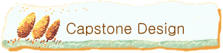 Capstone Design